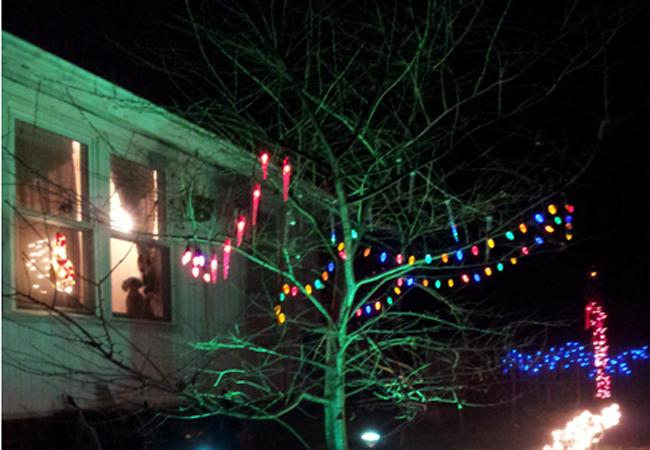 Melendez hung colorful lights from her tree. 