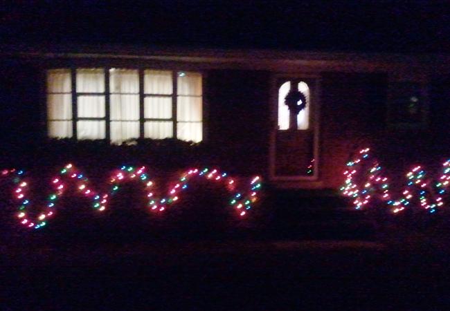 Senior Jonathan Tedla decorated his house with wreaths and lights on the bushes. 