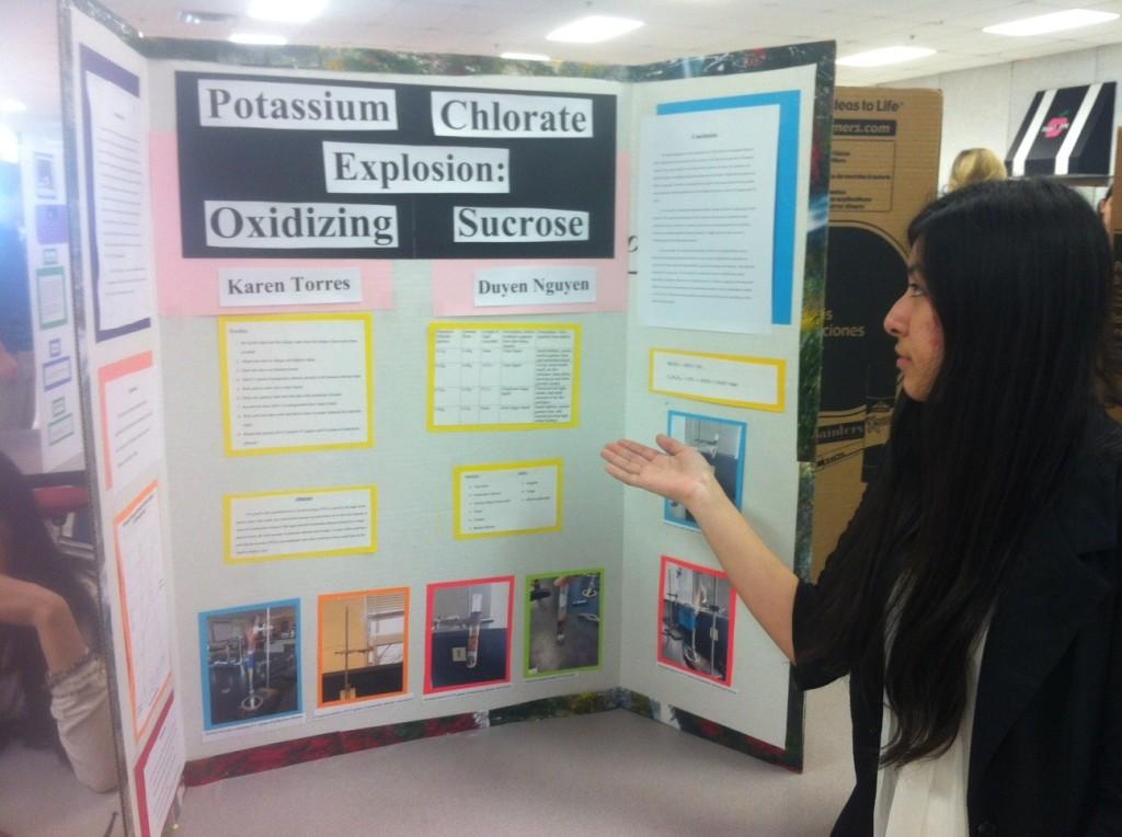 Students participate in annual science fair