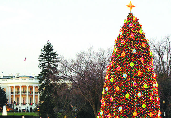 Go experience one of our Nations greatest holiday treasures: The National Christmas Tree. With a great view of The White House, you can experience the great tradition illuminated by close to 80,000 lights. Surrounding the tree are 50 mini Christmas trees, each state represented by one of them. Admission to see the tree is free and the tree is lit from dusk to 11 p.m. The tree is up until Jan. 1, so dont miss a chance to take a trip with your friends and family to see our Nations beautiful Christmas tree.