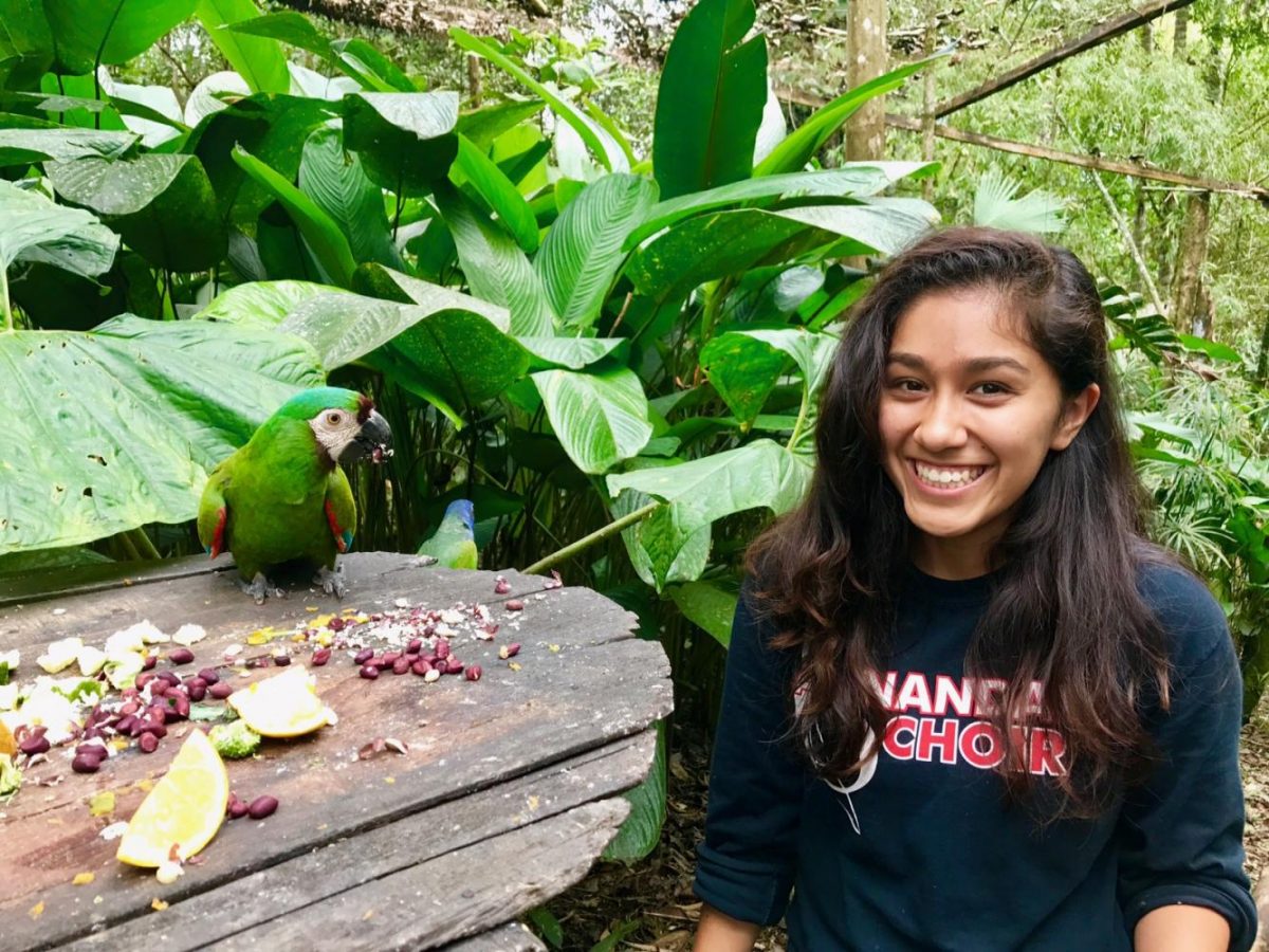 Having decided to take a break for the next school year, 2017 AHS graduate Kimberly Romero travels alone to Yanachocha, Ecuador to help aid wild life recovery.