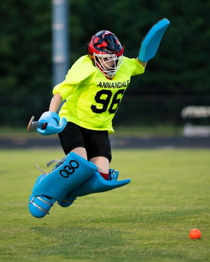 Senior Sarah Hawkins jumps for the ball during an AHS field hockey game.