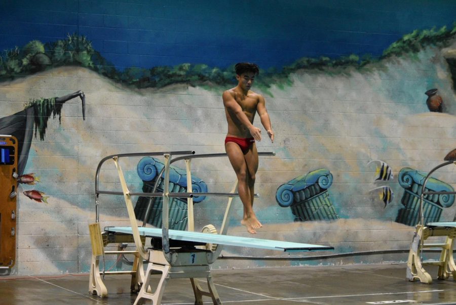 Junior Nathan Tran begins his dive off the board against Falls Church on Dec. 11. The boys team won by a score of 192-109.