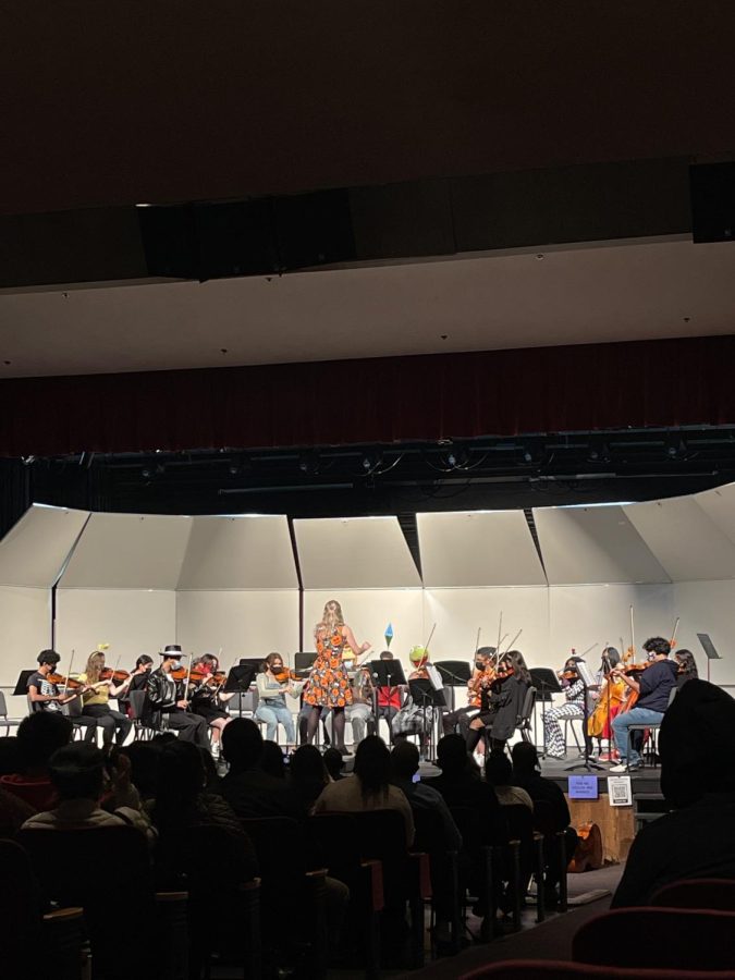 Orchestra prepares for concert