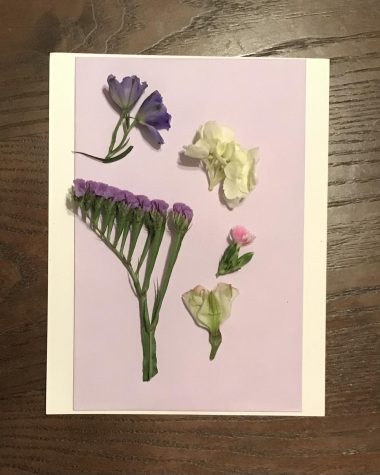 5 Step Spring Craft: Pressing Flowers