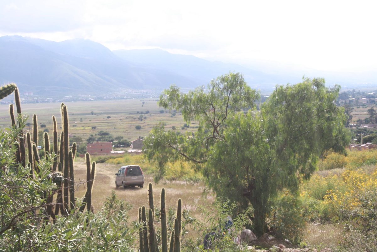 A cerro otherwise known as a hill or mountain with various plants such as cactuses and fresh tuna, otherwise known as Eastern Prickly Pear near the small housing society, Flores Rancho. 
