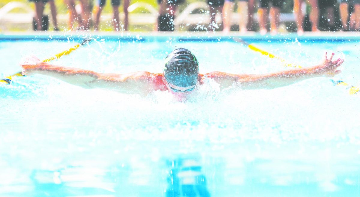 Colton D’Ambrogi swims butterfly for the Forest Hollow Gators in a summer meet.
